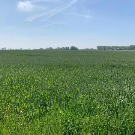 In With Sea View نيوبورت