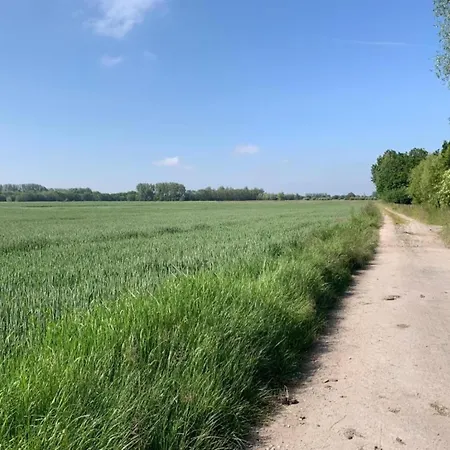 In With Sea View شقة