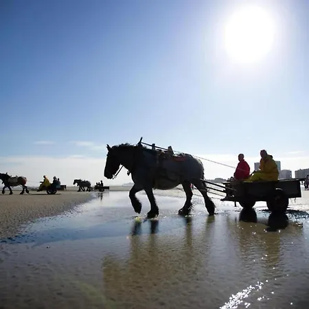 شقة In With Sea View