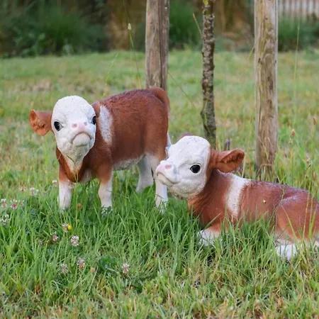 In With Sea View * نيوبورت