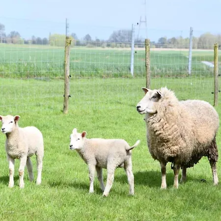 In With Sea View شقة *